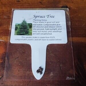 Blue Spruce Seed Packet - Grow Christmas Trees - Reforestation Project